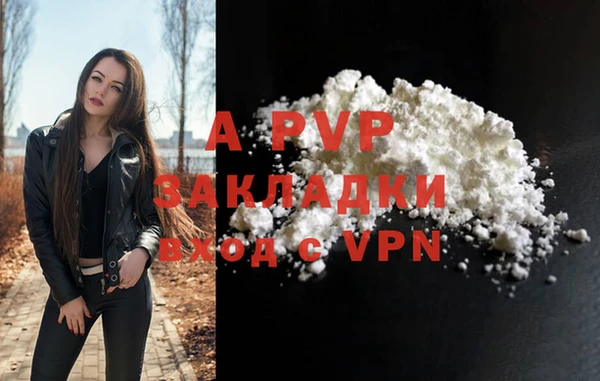 СК Новозыбков