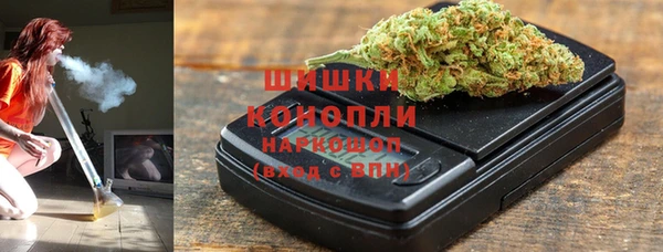 СК Новозыбков